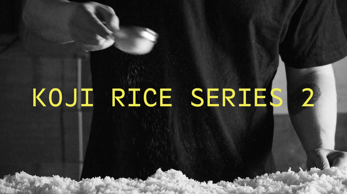 Koji Rice Series 2