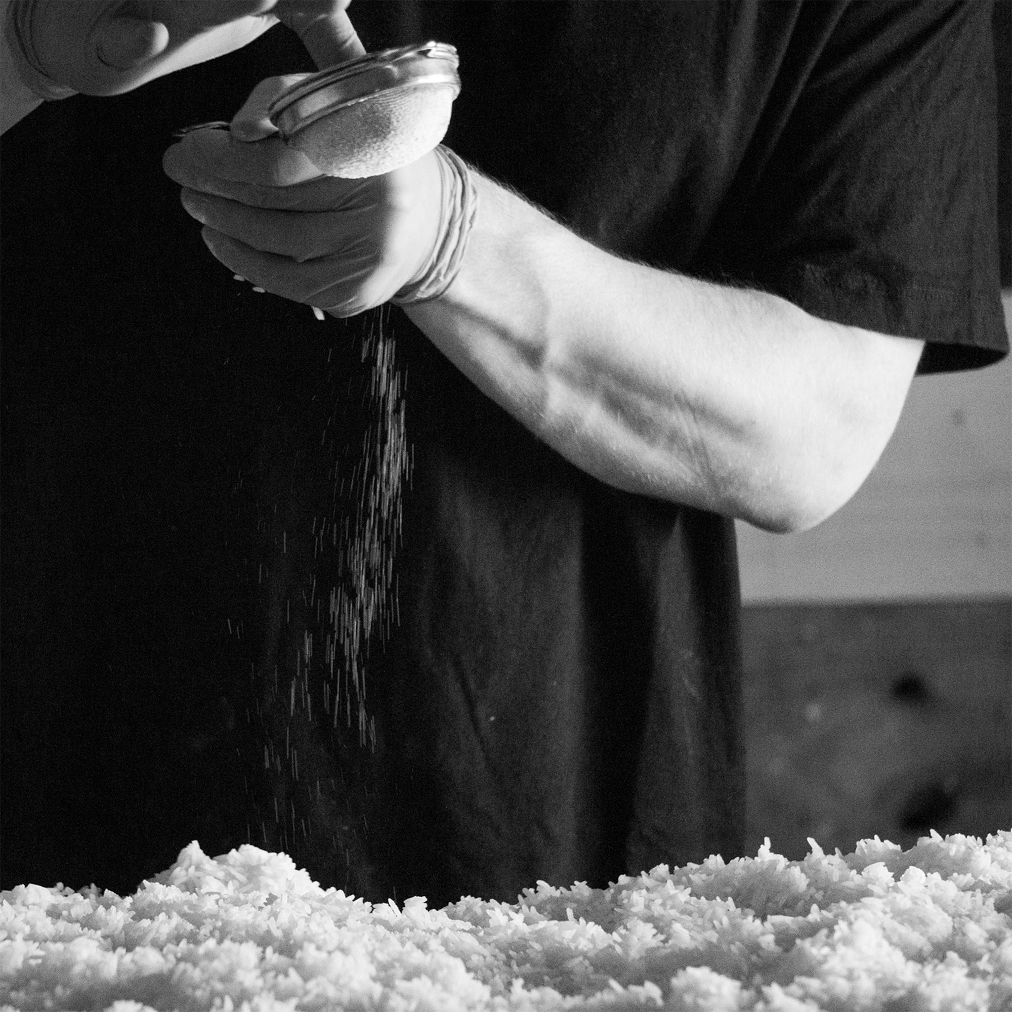 Person sprinkling koji spores onto rice